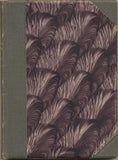 DEJMEK; PETR: PRINCEZNA A JEJÍ CHAUFFEUR. - (1909). Ilustrace KAREL RÉLINK.