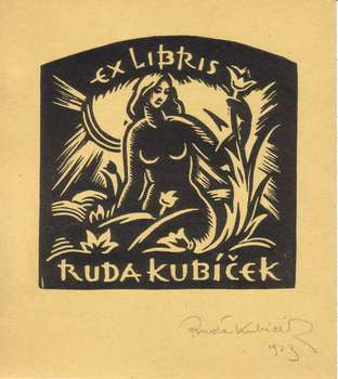 RUDA KUBÍČEK. Dřevoryt (wood engraving); sign/dat. 1923. 145x130