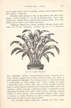 1898. Spolehlivý rádce domácího zahradnictví. /flora/