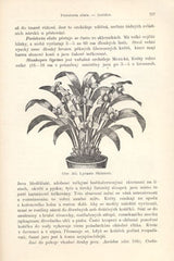GOTTWALD; VÁCLAV: KVĚTINY V POKOJI. - 1898. Spolehlivý rádce domácího zahradnictví. /flora/