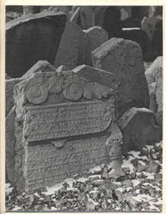Doležal - PRAHA: ŽIDOVSKÝ HŘBITOV.  - 1980 (kol.) /foto Praha/pragensie/