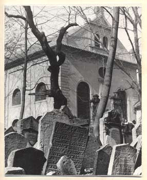 1980 (kol.) /foto Praha/pragensie/