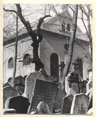 Doležal - PRAHA: ŽIDOVSKÝ HŘBITOV - SYNAGOGA. - 1980 (kol.) /foto Praha/pragensie/