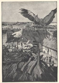 1923. Ilustrace HANS TEGNER. Přeložil JAROSLAV VRCHLICKÝ.