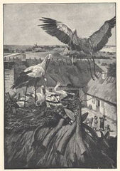 ANDERSENOVY POHÁDKY. - 1923. Ilustrace HANS TEGNER. Přeložil JAROSLAV VRCHLICKÝ.
