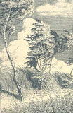 JANDA; JIŘÍ: LES. OBRÁZKY A DOJMY Z PŘÍRODY. - 1925. Ilustrace OTAKAR ŠTAFL.