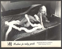 VRABEC JE TAKY PTÁK. - 1968. 'Fotoska'.
