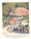 TÝNECKÝ; JOSEF HAIS: POHÁDKA O KRÁSNÉ PRINCEZNĚ. - 1923. Ilustrace OTAKAR ŠTÁFL.