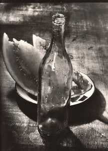 1976. Edice Mezinárodní fotografie; sv. 1.13 fotografií na 12 volných volných bromografiích; komplet