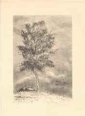 TURGENĚV; IVAN S.: BÁSNĚ V PRÓZE. - 1953. Litografiemi (3) a pérovými kresbami vyzdobil VÁCLAV SIVKO.