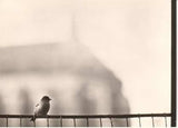 ŠECHTLOVÁ; MARIE / NOHA; JAN: PRAHA BÁSNÍKŮ. - 1964. 12 fotografií MARIE ŠECHTLOVÉ.