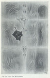 TOYEN. - 1962. Raymond Cordier. Katalog výstavy.