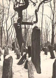 BROK; JINDŘICH: STARÝ ŽIDOVSKÝ HŘBITOV V PRAZE. - 1963. Soubor 12 fotografií. PRODÁNO
