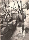 BROK; JINDŘICH: STARÝ ŽIDOVSKÝ HŘBITOV V PRAZE. - 1963. Soubor 12 fotografií. PRODÁNO