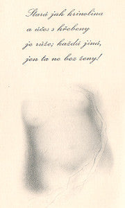 1940. 26 il. L. JIŘINCOVÁ; Krásná užitková kniha sv. 15.