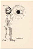 Šíma - APOLLINAIRE; GUILLAUME: PRSY TIRESIOVY. - 1926. Koláže JOSEF ŠÍMA; typo KAREL TEIGE. Odeon sv. 15. /q/