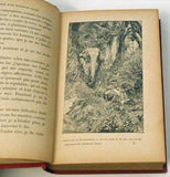 Mucha - GAUTIER, JUDITH: MÉMOIRES D'UN ÉLÉPHANT BLANC. - 1908