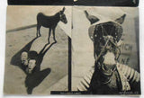 VOSKOVEC a WERICH: OSEL A STÍN. - (13. říjen, 1933). Divadelní program.
