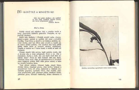 NĚMEC, BOHUMIL: DUŠE ROSTLIN. - 1947.