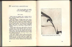 NĚMEC, BOHUMIL: DUŠE ROSTLIN. - 1947.