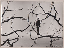 KAREL GOTT. - fotografie ze 60. let.