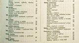 ORNAMENT. / JULIUS SKUHRAVÝ. 100 barevných chromolitografií, volné listy!! - 1906.