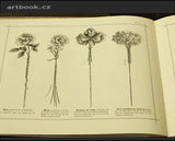 TISSOT J.C. ALBUM DU FLEURISTE. / Katalog aranžování květin.