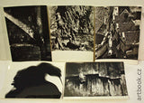 Fotografické cykly. Výstava slovenských fotografov. - 1971. / 20 bromografií.