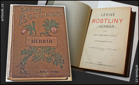 Herbář - DLOUHÝ, FRANTIŠEK: LÉČIVÉ ROSTLINY. - cca 1900.