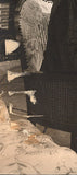 RŮŽENA NASKOVÁ, ANTONIE NEDOŠÍNSKÁ - KVOČNA. 1937.