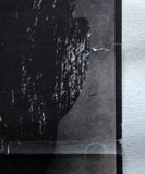 DAVID A LÍZA. - 1964.