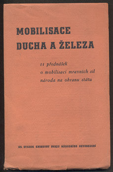 MOBILISACE DUCHA A ŽELEZA.