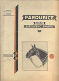 PARDUBICE, MĚSTO SVĚTOVÉHO SPORTU. - 1928.