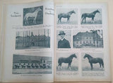 DEUTSCHE SANKT GEORG SPORTZEITUNG. -  XXVII. Jahrgang, Nr. 1, 1926.