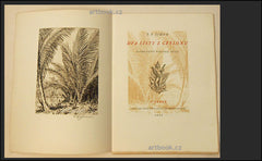 ŠIMON, T. F., dva signované lepty: Palmy + Vchod do chrámu. - 1927.