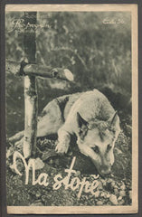 NA STOPĚ. - Bio-program v obrazech 1933.