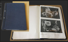 STEJSKAL, MARTIN: VARIANTY STRACHU.  - 80, léta.