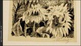 Švabinský, 5x sign. litografie - MATĚJČEK, A: MAX ŠVABINSKÝ. POPISNÝ SEZNAM GRAFICKÉHO DÍLA 1933 - 1942.