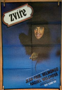 ZVÍŘE. - 1981.